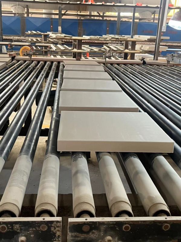 600*600工業尺寸耐酸磚